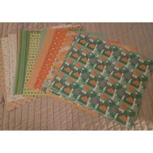 Cat Animal Pet  Scrapbook Paper  12x12 Paper 30 Sheets